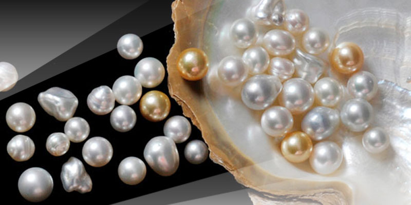 What is the difference between sea and river pearls